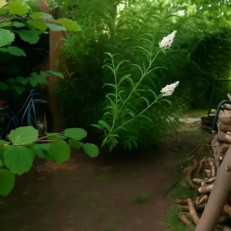 Ferienhaus Mc Garry And Garden *