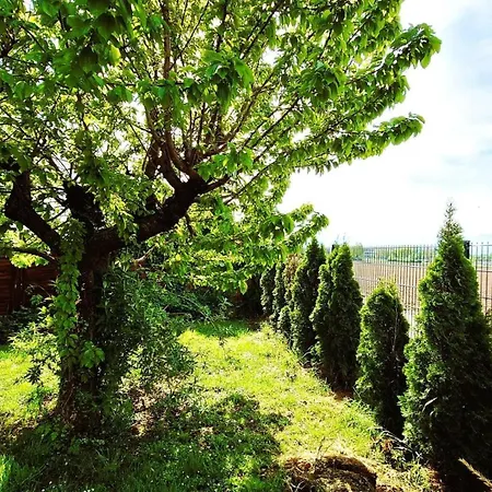 Mc Garry And Garden *