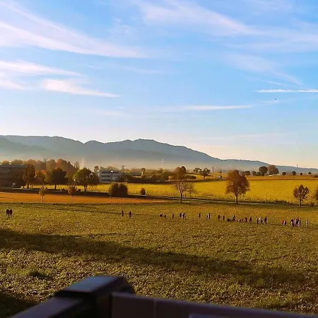 Mc Garry And Garden Ferienhaus Bad Krozingen
